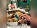 Torna ad Asti la super veterinaria Monica Pais per presentare il docufilm girato nella clinica veterinaria più famosa d'Italia, la Duemari di Oristano [TRAILER]