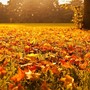 L'autunno stenta a partire ad Asti: nei primi dieci giorni di ottobre sole e caldo fuori stagione