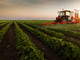 La Regione Piemonte stanzia 8,6 milioni a sostegno delle aziende agricole