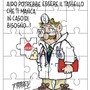 Il palazzo della Provincia celebra i 50 anni di Aido della "Granda" con una mostra