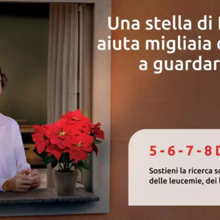 Tornano ad Asti le Stelle di Natale solidali Ail