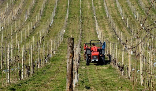 Immagine generica di archivio Immagine generica di archivio