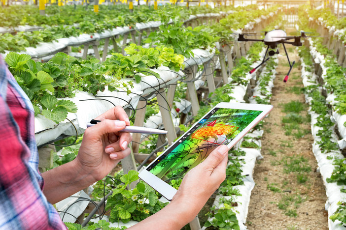 Investimenti produttivi e competitività in agricoltura, in arrivo un bando da 32,5 milioni