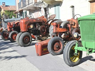 Alcune immagini di Agrifiera Alcune immagini di Agrifiera