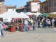 Alcune immagini di Agrifiera