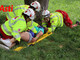 Le immagini degli Asti Rescue Game 2025