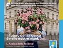 Foto AIRC