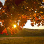 METEO / Meteo nel Cuneese, weekend con sole e clima mite: temperature fino a 27-28 gradi