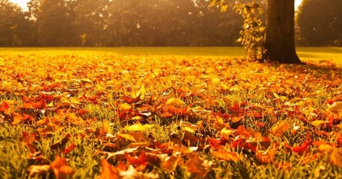 L'autunno stenta a partire ad Asti: nei primi dieci giorni di ottobre sole e caldo fuori stagione L'autunno stenta a partire ad Asti: nei primi dieci giorni di ottobre sole e caldo fuori stagione