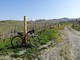 In bici per il solstizio d’estate tra le colline della Langa astigiana