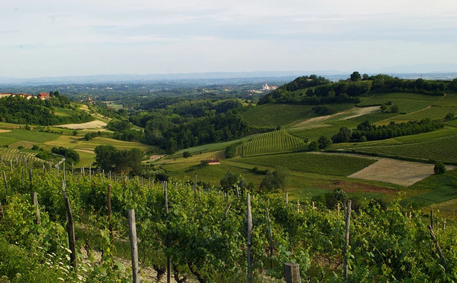 “PoMonf Verde per Giovani” fa tappa ad Albugnano: il 21 giugno una notte di stelle e vino sul Balcone del Monferrato