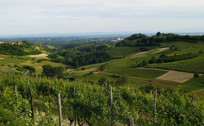 “PoMonf Verde per Giovani” fa tappa ad Albugnano: il 21 giugno una notte di stelle e vino sul Balcone del Monferrato