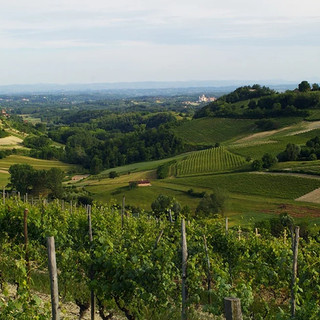 “PoMonf Verde per Giovani” fa tappa ad Albugnano: il 21 giugno una notte di stelle e vino sul Balcone del Monferrato