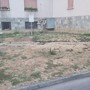 Bra, meno alberi nella via dedicata ad Aldo Moro e l'oasi che non c'è più