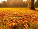 L'autunno stenta a partire ad Asti: nei primi dieci giorni di ottobre sole e caldo fuori stagione L'autunno stenta a partire ad Asti: nei primi dieci giorni di ottobre sole e caldo fuori stagione
