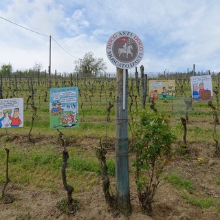 Per l'Asti Docg una vendemmia di qualità, ma pesa l'incognita dazi USA