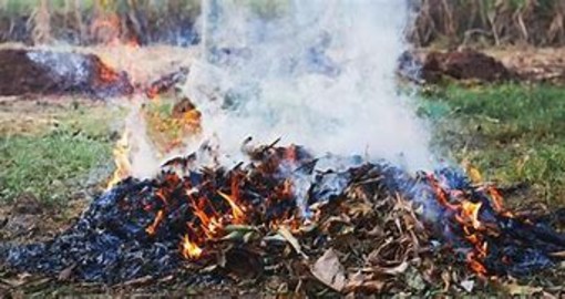 Abbruciamenti agricoli, in Piemonte al via la sperimentazione