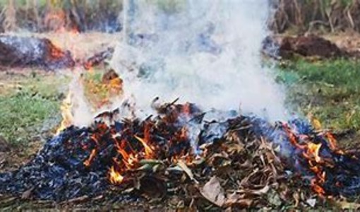 Abbruciamenti agricoli, in Piemonte al via la sperimentazione