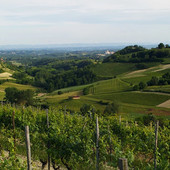 “PoMonf Verde per Giovani” fa tappa ad Albugnano: il 21 giugno una notte di stelle e vino sul Balcone del Monferrato “PoMonf Verde per Giovani” fa tappa ad Albugnano: il 21 giugno una notte di stelle e vino sul Balcone del Monferrato