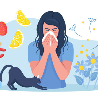 immagine tratta da Google