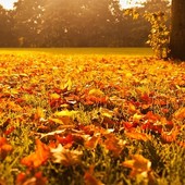 L'autunno stenta a partire ad Asti: nei primi dieci giorni di ottobre sole e caldo fuori stagione L'autunno stenta a partire ad Asti: nei primi dieci giorni di ottobre sole e caldo fuori stagione