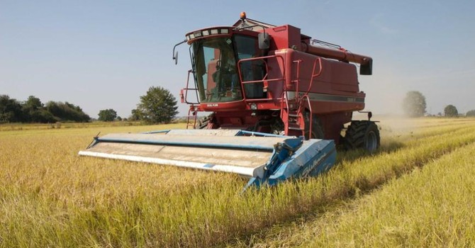 Foto generica d'archivio