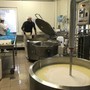 Agricoltura, 25 anni della Legge di orientamento: aziende sempre più multifunzionali