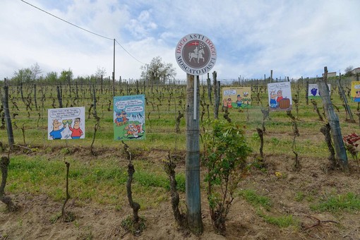 Per l'Asti Docg una vendemmia di qualità, ma pesa l'incognita dazi USA