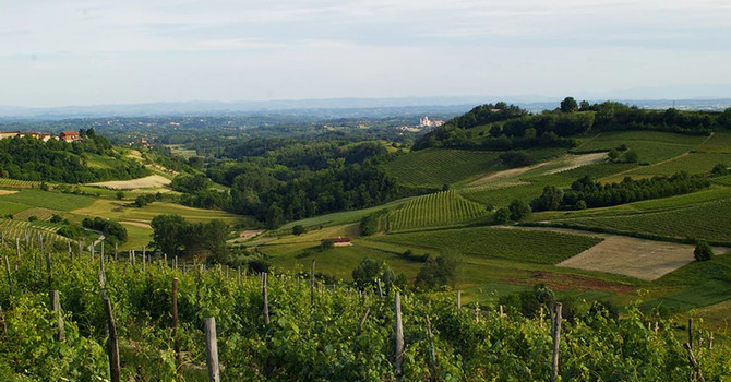 “PoMonf Verde per Giovani” fa tappa ad Albugnano: il 21 giugno una notte di stelle e vino sul Balcone del Monferrato