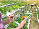 Investimenti produttivi e competitività in agricoltura, in arrivo un bando da 32,5 milioni