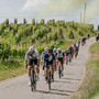 Oggi è giorno della mediofondo e della Granfondo alla Bra-Bra Fenix Oggi è giorno della mediofondo e della Granfondo alla Bra-Bra Fenix