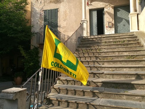 Export agroalimentare in crisi: Coldiretti Asti lancia l’allarme sul crollo delle esportazioni verso gli USA