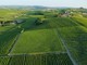 Il biologico piemontese cresce grazie alla cooperazione