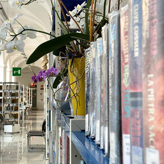 Un particolare scorcio dei saloni della Biblioteca