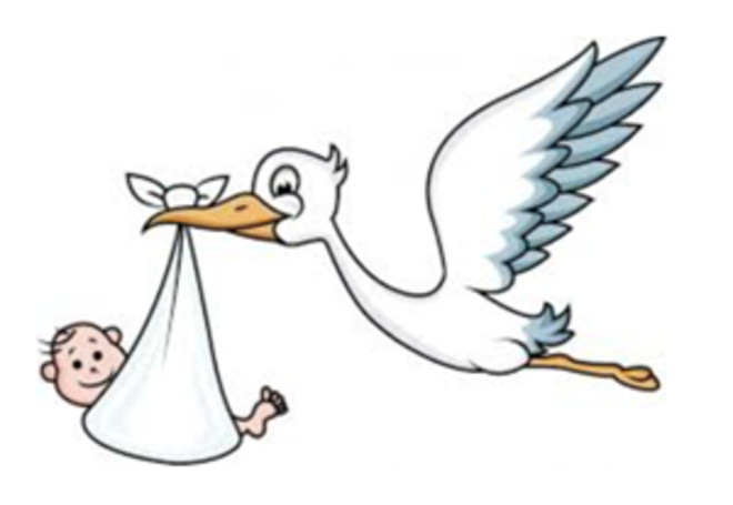 “Bonus Mamma e Bebè 2026”: sostegno alle neo-famiglie della Langa Astigiana Val Bormida “Bonus Mamma e Bebè 2026”: sostegno alle neo-famiglie della Langa Astigiana Val Bormida