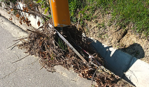 Alcune foto inviate dai consiglieri