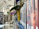 Un particolare scorcio dei saloni della Biblioteca Un particolare scorcio dei saloni della Biblioteca