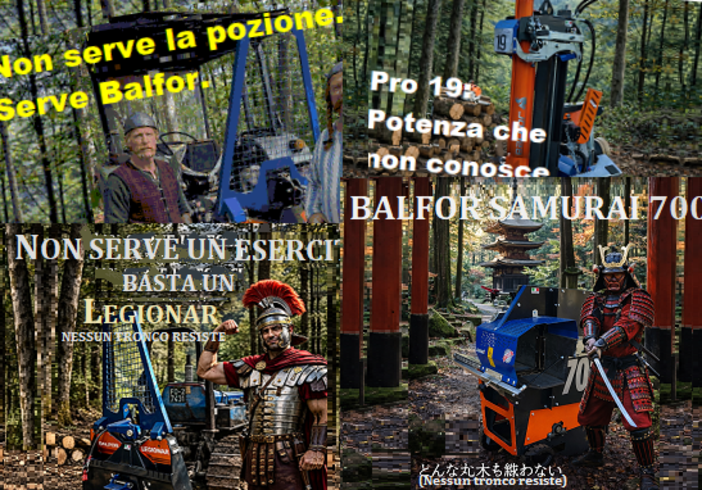 Balfor srl di Manta: la potenza a cui nessun tronco può resistere