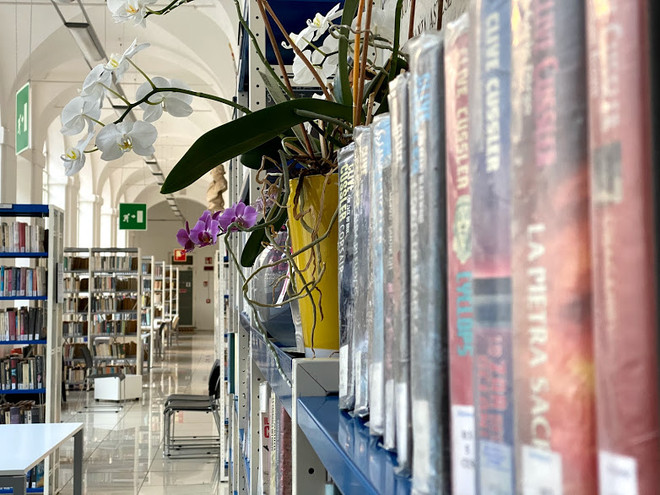 Un particolare scorcio dei saloni della Biblioteca