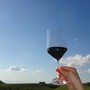 Cantine Mascarello assume: ricerca attiva per  impiegato/a commerciale con conoscenza della lingua francese