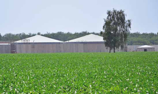 Decreto Bollette, Confagricoltura Piemonte: “Bene l’emendamento su biogas e biomasse, ora serve una strategia integrata”