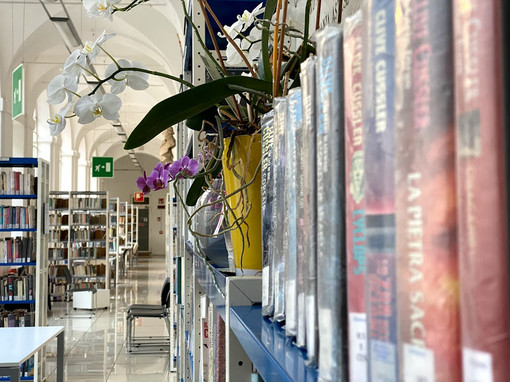 Un particolare scorcio dei saloni della Biblioteca