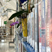 Stop ai prestiti dal 23 febbraio: l'Astense chiude per inventario