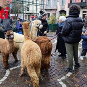 Merphefoto Merphefoto