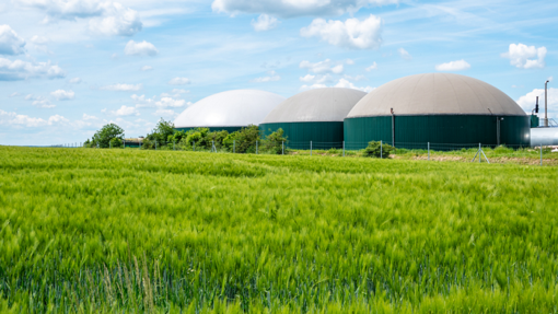 Biogas: si apre una nuova filiera tecnologica per il ritiro dell'energia dai produttori