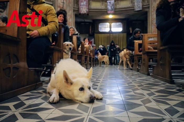 Un'immagine (ph. Merfephoto - Efrem Zanchettin) dell'edizione 2025 della benedizione