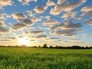 Maggio si chiude con un anticipo caldo di estate Maggio si chiude con un anticipo caldo di estate