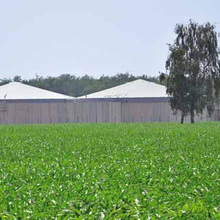 Decreto Bollette, Confagricoltura Piemonte: “Bene l’emendamento su biogas e biomasse, ora serve una strategia integrata”