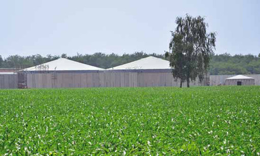 Decreto Bollette, Confagricoltura Piemonte: “Bene l’emendamento su biogas e biomasse, ora serve una strategia integrata”