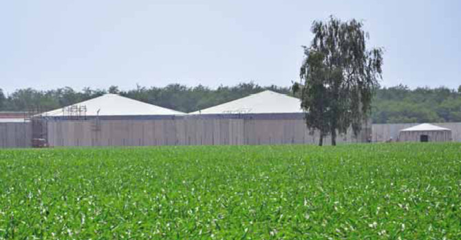 Decreto Bollette, Confagricoltura Piemonte: “Bene l’emendamento su biogas e biomasse, ora serve una strategia integrata”